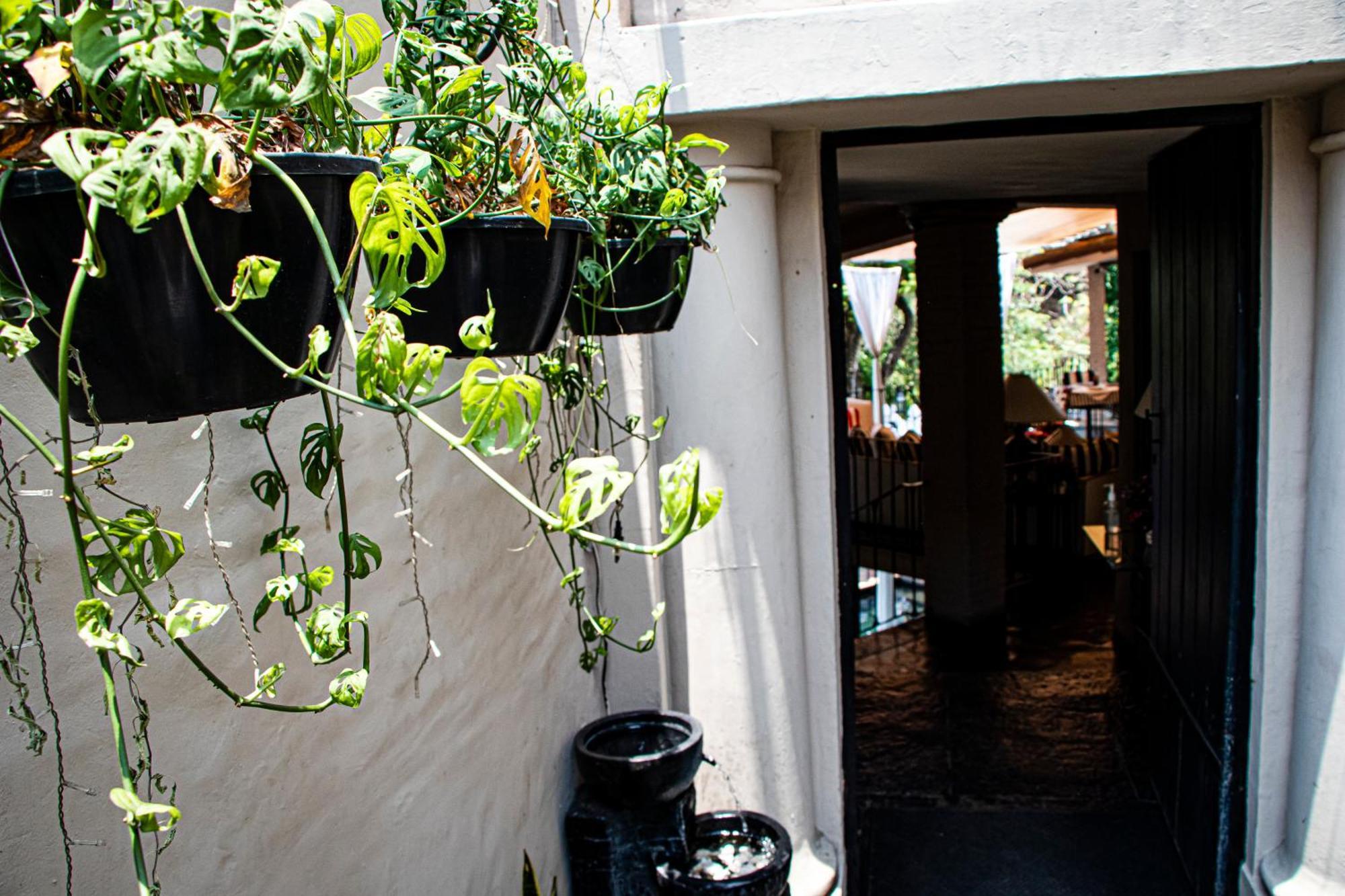 Il Piccolo Peccato (Adults Only) Hotel Cuernavaca Exterior foto